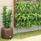 Vaso Bollati (48x60) Cor Granito Areia Vasart