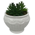 Vaso Branco Clássico Trabalhado Com Suculentas