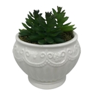 Vaso Branco Clássico Trabalhado Com Suculentas