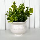 Vaso Cachepô Branco De Cerâmica Granilite Decoração Casa