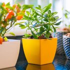 Vaso Cachepô Elegance De Plástico Redondo 01 Nutriplan Traver