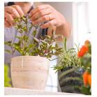 Vaso Cachepô Elegance De Plástico Redondo 02 Nutriplan Traver