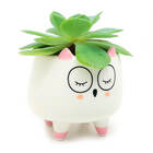 Vaso Cachepô Em Cerâmica Coruja - Branco Pequeno