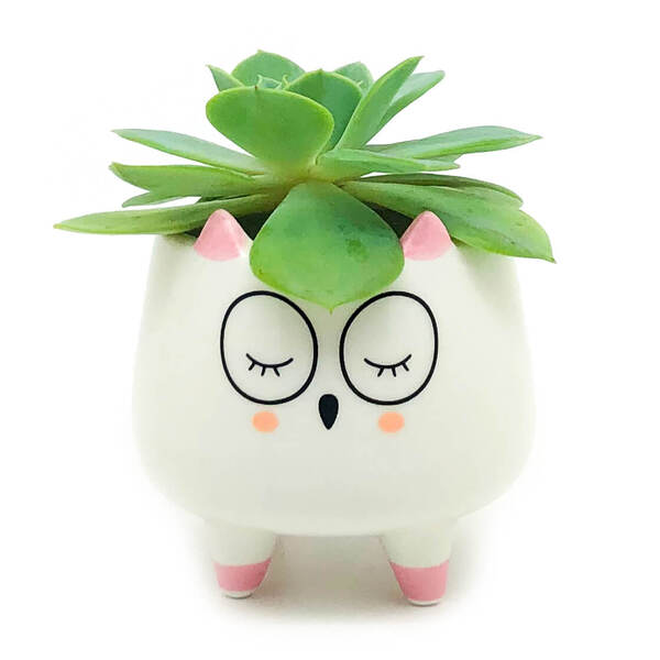 Vaso Cachepô Em Cerâmica Coruja - Branco Pequeno