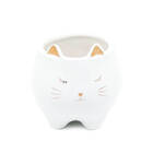 Vaso Cachepô Em Cerâmica Gato Dourado - Pequeno