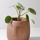 Vaso Cachepot  Rosto Terracota