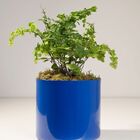 Vaso Cachepot Alumínio Azul