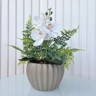 Vaso Cachepot Cáqui Pequeno Moderno Cerâmico Com Arranjo