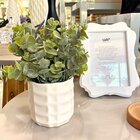 Vaso Cachepot De Cerâmica Para Decoração Pequeno Branco