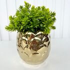 Vaso Cachepot Enfeite De Mesa Escama Dourado Em Cerâmica