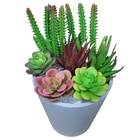 Vaso Cachepot Médio Cilindro 13x12 Para Cactos E Suculentas