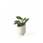 Vaso Cachepot Mini em Plástico 9,5x6,3cm Calcário San Raiz