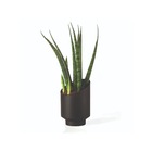 Vaso Cachepot Mini em Plástico 9,5x6,3cm Preto San Raiz
