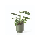 Vaso Cachepot Mini em Plástico 9,5x6,3cm Verde Militar San Raiz