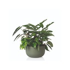 Vaso Cachepot Pequeno em Plástico 14x24cm Verde Militar San Raiz