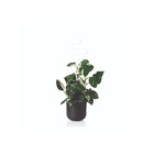 Vaso Cachepot Pequeno em Plástico 25x25cm Preto San Raiz