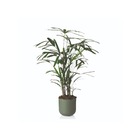 Vaso Cachepot Pequeno em Plástico 25x25cm Verde Militar San Raiz