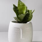 Vaso Cachepot Rosto Branco