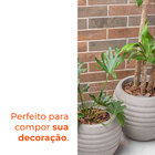 Vaso Canela Pedra 34 Terrano