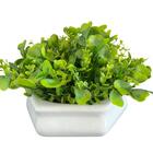 Vaso Centro De Mesa Branco Trabalhado Luxo De Cerâmica