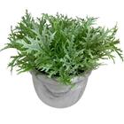 Vaso Centro De Mesa Estampa Marmorizada Com Planta