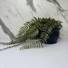 Vaso Centro De Mesa Preto Moderno De Cerâmica Trabalhado