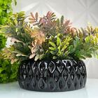 Vaso Centro De Mesa Preto Redondo Com Planta Moderna