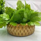 Vaso Centro De Mesa Redondo Moderno Luxo De Cerâmica Dourado