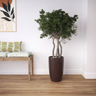 Vaso Ceramica A Liv Vermelho 28x43cm Ts Brasil