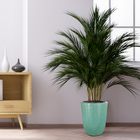 Vaso Cerâmica Americano Verde 36x32cm Bella Art