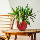 Vaso Cerâmica Americano Vermelho 16x19cm Bella Art