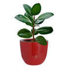 Vaso Cerâmica Americano Vermelho 16x19cm Bella Art