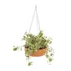 Vaso Cerâmica Babilônia Terracota  10,5x30cm Boa Nova