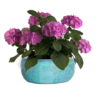 Vaso Cerâmica Bacia Adenium Azul 7x15cm Bella Art