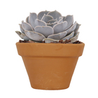 Vaso Cerâmica Basico Terracota 10x16cm Boa Nova