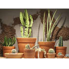 Vaso Cerâmica Basico Terracota 11x19cm Boa Nova