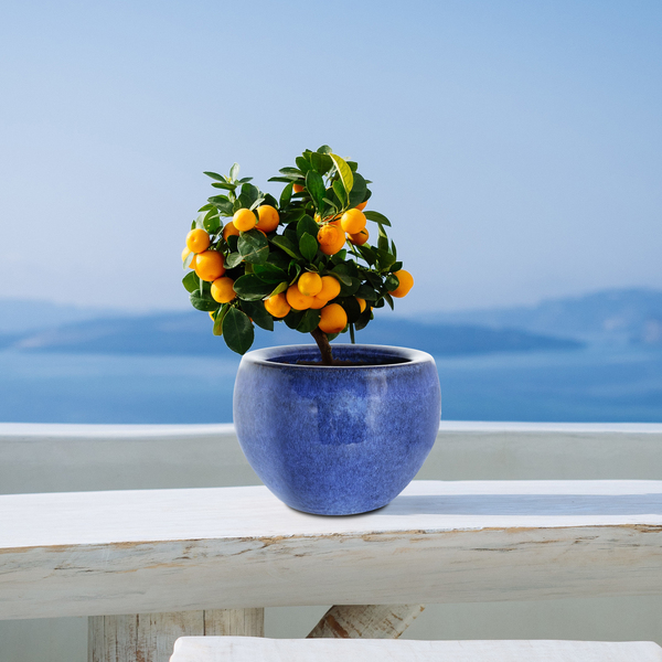 Vaso Cerâmica Bola Azul 15x18cm Bella Art