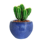 Vaso Cerâmica Bola Azul 15x18cm Bella Art