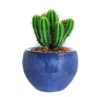 Vaso Cerâmica Bola Azul 9x14cm Bella Art