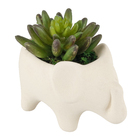Vaso Cerâmica Elefante com suculenta 12x12 cm