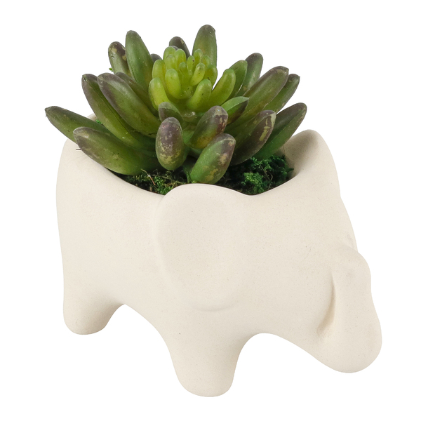 Vaso Cerâmica Elefante com suculenta 12x12 cm