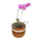 Vaso Cerâmica Ipanema Terracota 13x17cm  Boa Nova