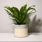 Vaso Cerâmica Molly Com Prato - Cinza