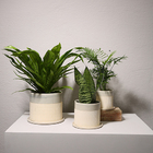 Vaso Cerâmica Molly Com Prato - Cinza