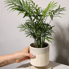 Vaso Cerâmica Molly Com Prato - Cinza