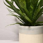 Vaso Cerâmica Molly Com Prato - Cinza