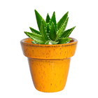 Vaso Cerâmica Tijolinho Amarelo 10x12cm Bella Art