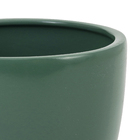 Vaso Comum Cerâmica Cerâmico Verde 12,7x13,5cm Burian