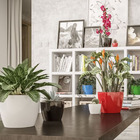 Vaso Cerâmico Cachepô Munique 11 Preto - Japi