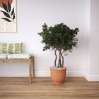 Vaso Ceramico Caepo Laranja 28,5x26cm Cerâmica Ribeiro